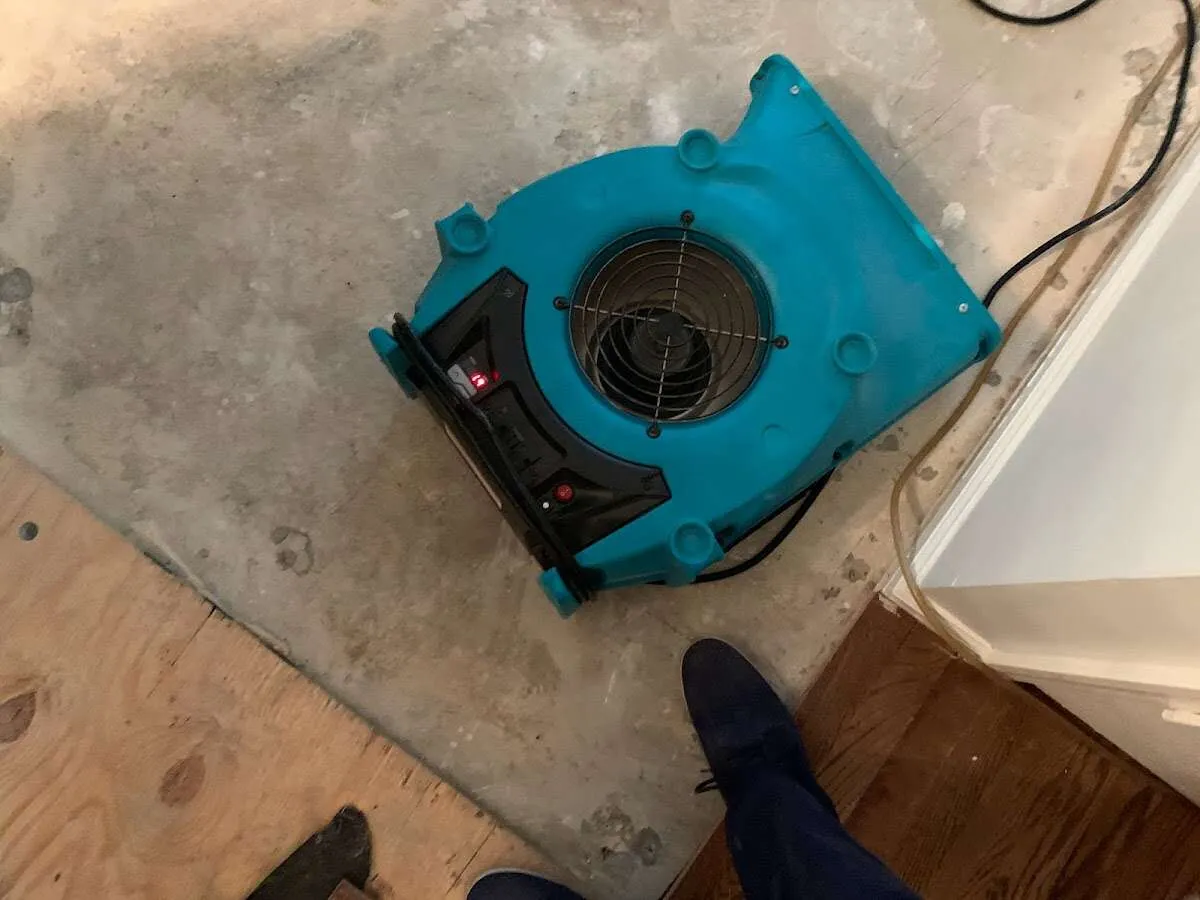 Air mover drying subfloor during Commercial Water Damage Restoration in Bridgewater Town